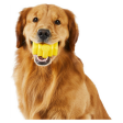 Project Hive Pet Company Dog Chew Toy, Large For Cheap