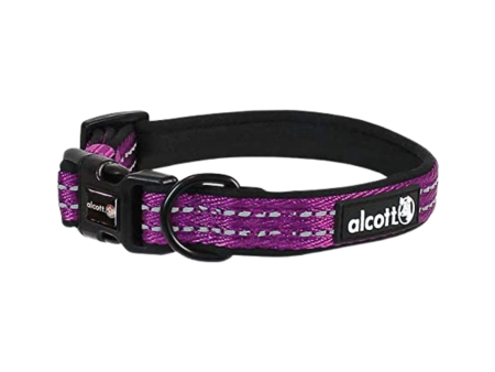 Alcott Adventure Collar Purple Sale