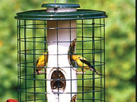 Audubon woodlink - Avian Series Mixed Seed Cage Bird Feeder Online Hot Sale