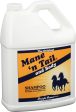 Straight Arrow Products D - Mane  n Tail Shampoo For Horses on Sale