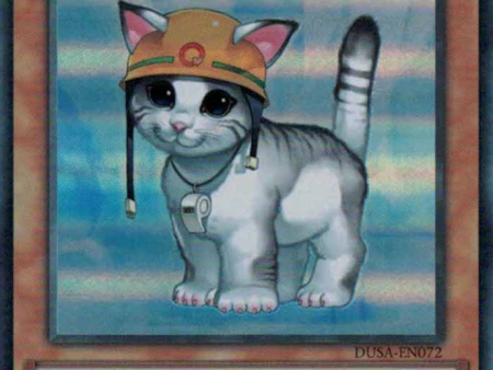 Rescue Cat [DUSA-EN072] Ultra Rare Fashion